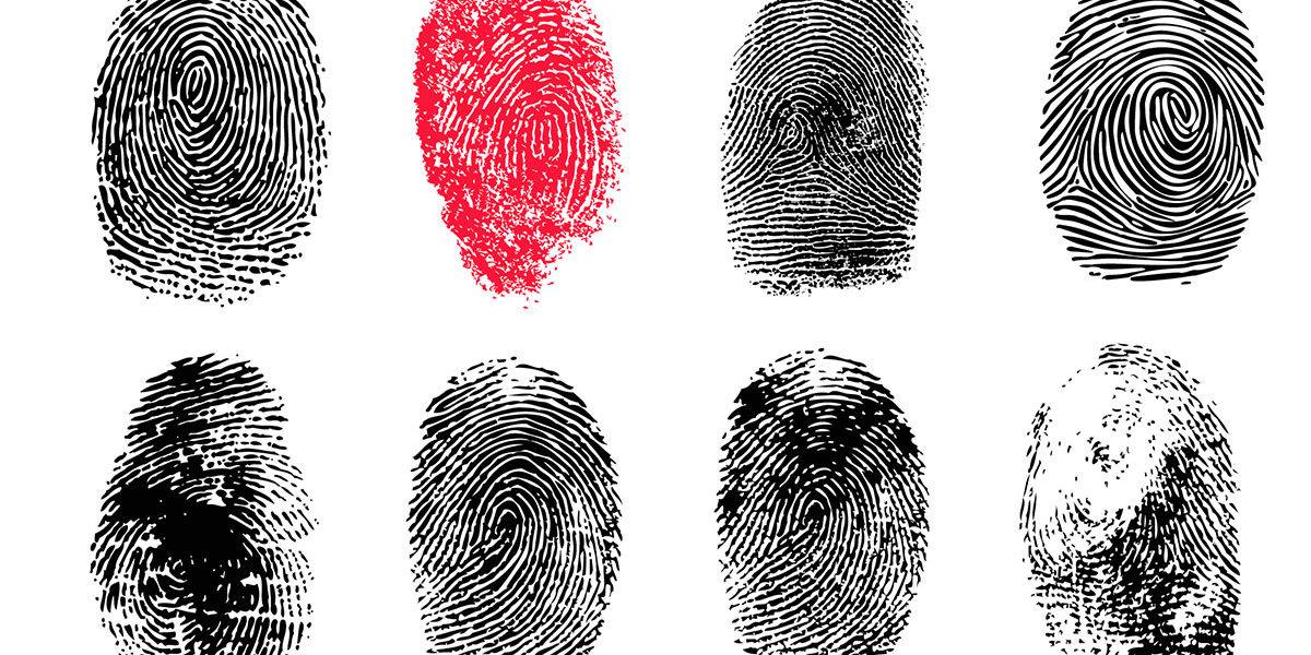 How Do You Analyze Fingerprints Private Eyes Background Checks