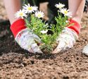 March 2025 Newsletter - Room for growth