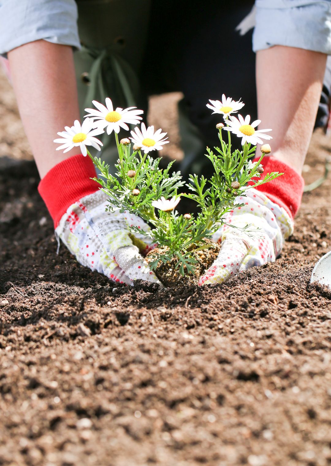 March 2025 Newsletter - Room for growth