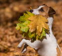 September 2025 Newsletter