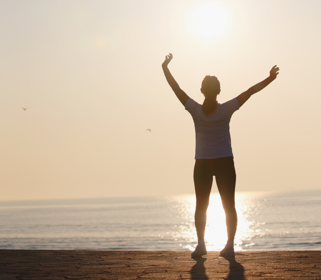 January 2026 Newsletter