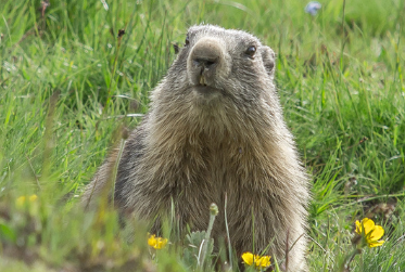 February 2026 Newsletter