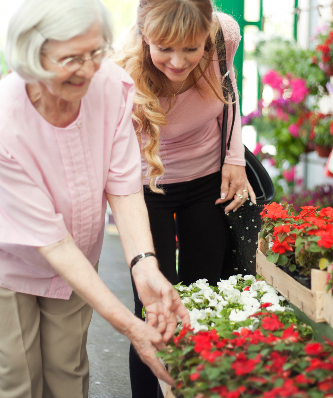 March 2026 Newsletter